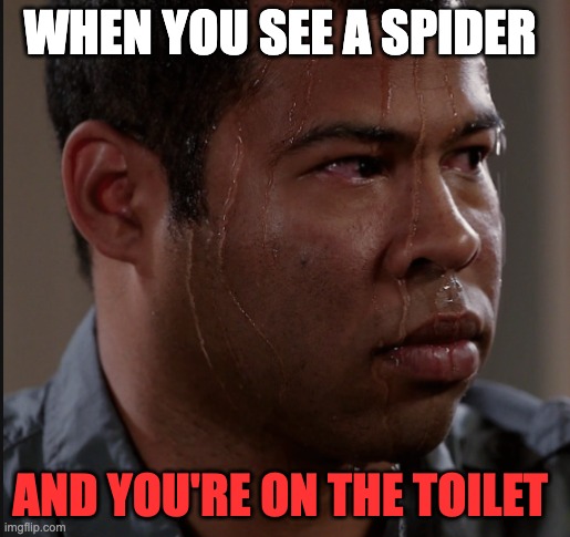 Sweating Man | WHEN YOU SEE A SPIDER; AND YOU'RE ON THE TOILET | image tagged in sweating man | made w/ Imgflip meme maker