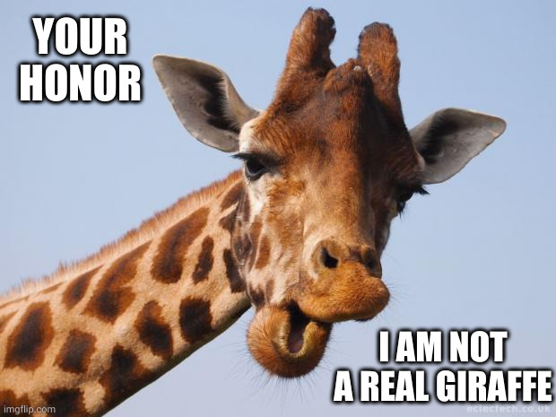 Humans aren't this handsome | YOUR HONOR; I AM NOT A REAL GIRAFFE | image tagged in comeback giraffe,courtroom,memes,lawyer,mistaken identity,filters | made w/ Imgflip meme maker