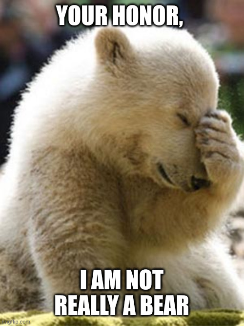 I wish I was this beautiful | YOUR HONOR, I AM NOT REALLY A BEAR | image tagged in memes,facepalm bear,courtroom,lawyer,filters,mistaken identity | made w/ Imgflip meme maker