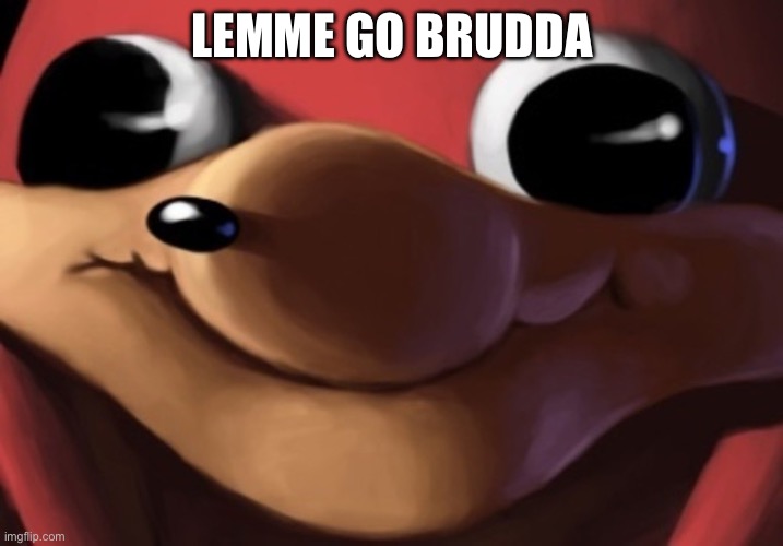 uganda knuckes | LEMME GO BRUDDA | image tagged in uganda knuckes | made w/ Imgflip meme maker