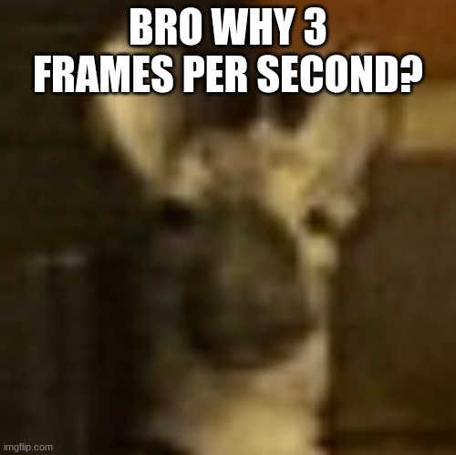 Blank stare | BRO WHY 3 FRAMES PER SECOND? | image tagged in blank stare | made w/ Imgflip meme maker