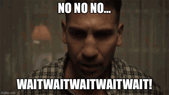 the punisher | NO NO NO… WAITWAITWAITWAITWAIT! | image tagged in the punisher | made w/ Imgflip meme maker