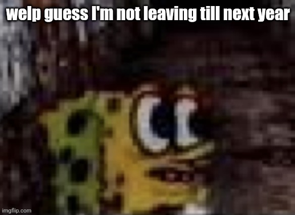 spunch bop trauma | welp guess I'm not leaving till next year | image tagged in spunch bop trauma | made w/ Imgflip meme maker
