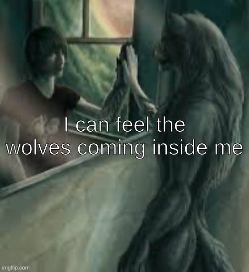 How it feels like to be an alpha | I can feel the wolves coming inside me | image tagged in how it feels like to be an alpha | made w/ Imgflip meme maker