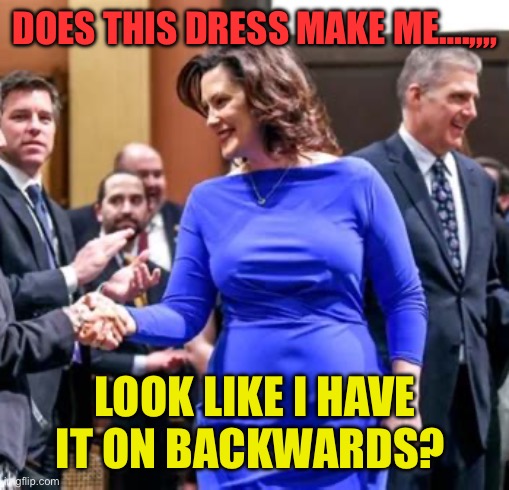 Fill in the blank | DOES THIS DRESS MAKE ME….,,,, LOOK LIKE I HAVE IT ON BACKWARDS? | image tagged in does this dress,governor,incompetence,easy,sad but true | made w/ Imgflip meme maker