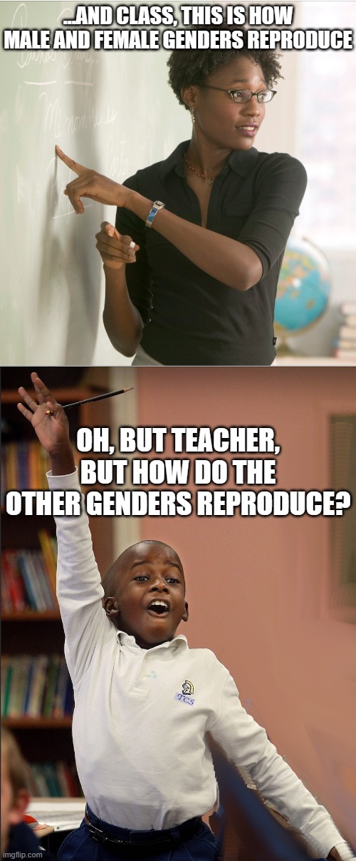 What's Next? | ...AND CLASS, THIS IS HOW MALE AND FEMALE GENDERS REPRODUCE; OH, BUT TEACHER, BUT HOW DO THE OTHER GENDERS REPRODUCE? | image tagged in what's next | made w/ Imgflip meme maker