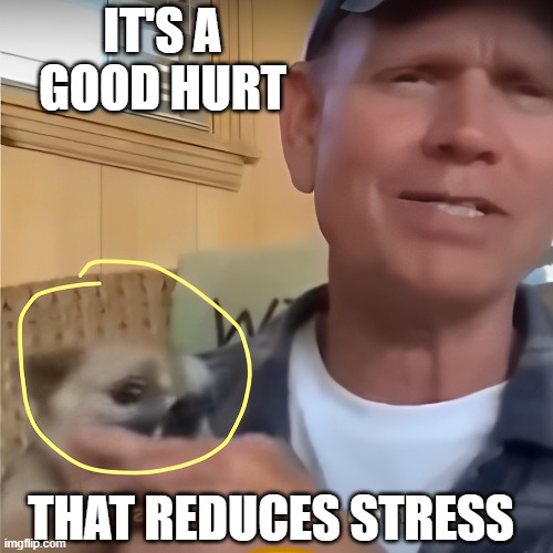 NOT THE WEIRDEST THING I'VE HEARD BEFORE NOON | IT'S A GOOD HURT; THAT REDUCES STRESS | image tagged in messed up | made w/ Imgflip meme maker