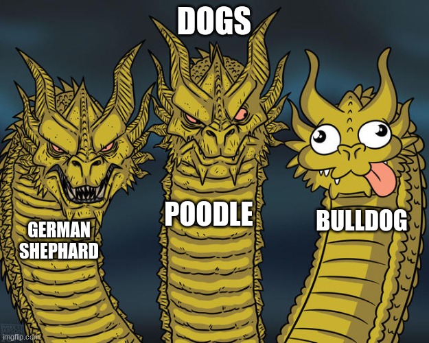 Dogs be like: | DOGS; POODLE; BULLDOG; GERMAN
SHEPHARD | image tagged in three-headed dragon | made w/ Imgflip meme maker