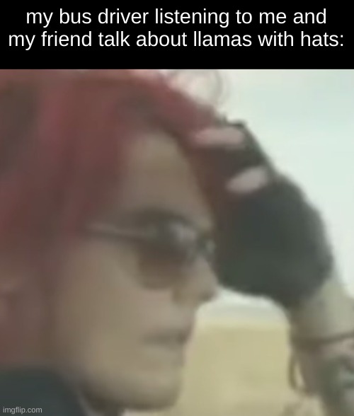 Gerard Driving | my bus driver listening to me and my friend talk about llamas with hats: | image tagged in gerard driving,llamas with hats,bus,bus driver | made w/ Imgflip meme maker