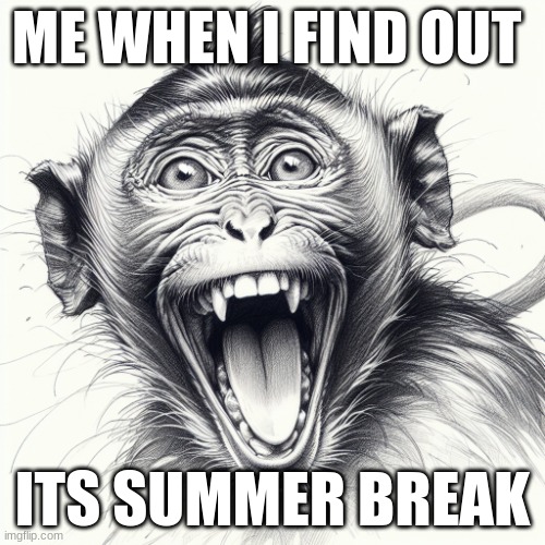 ME WHEN I FIND OUT; ITS SUMMER BREAK | image tagged in monkey | made w/ Imgflip meme maker