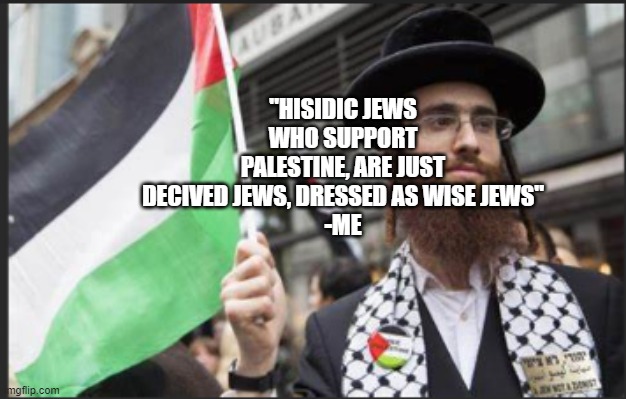 "Hasidic Jews who support Palestine are just deceived jews dressed as wise jews" -me | "HISIDIC JEWS WHO SUPPORT PALESTINE, ARE JUST DECIVED JEWS, DRESSED AS WISE JEWS"
-ME | image tagged in israel,jews,palestine,delusional | made w/ Imgflip meme maker