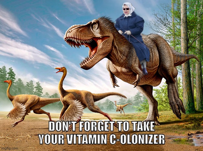 Vitamin C-olonizer | DON'T FORGET TO TAKE YOUR VITAMIN C-OLONIZER | image tagged in queen elizabeth | made w/ Imgflip meme maker