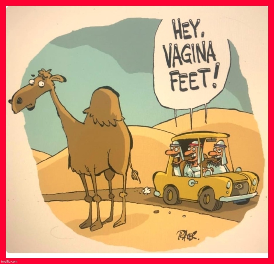 Cameltoe Revisited | image tagged in cameltoe,camel toe,goat shaggers,goat love,camel lovers,i'd walk a mile for a camel | made w/ Imgflip meme maker