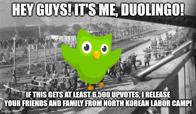 But there is a time limit: 2 months. | HEY GUYS! IT'S ME, DUOLINGO! IF THIS GETS AT LEAST 6,500 UPVOTES, I RELEASE YOUR FRIENDS AND FAMILY FROM NORTH KOREAN LABOR CAMP! | made w/ Imgflip meme maker