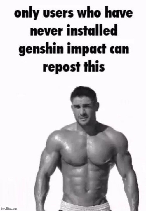 No genshin inpact for me | image tagged in no genshin inpact for me | made w/ Imgflip meme maker