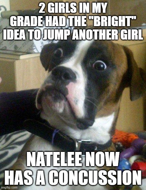 what did she do to deserve that?!?! | 2 GIRLS IN MY GRADE HAD THE "BRIGHT" IDEA TO JUMP ANOTHER GIRL; NATELEE NOW HAS A CONCUSSION | image tagged in blankie the shocked dog,school | made w/ Imgflip meme maker