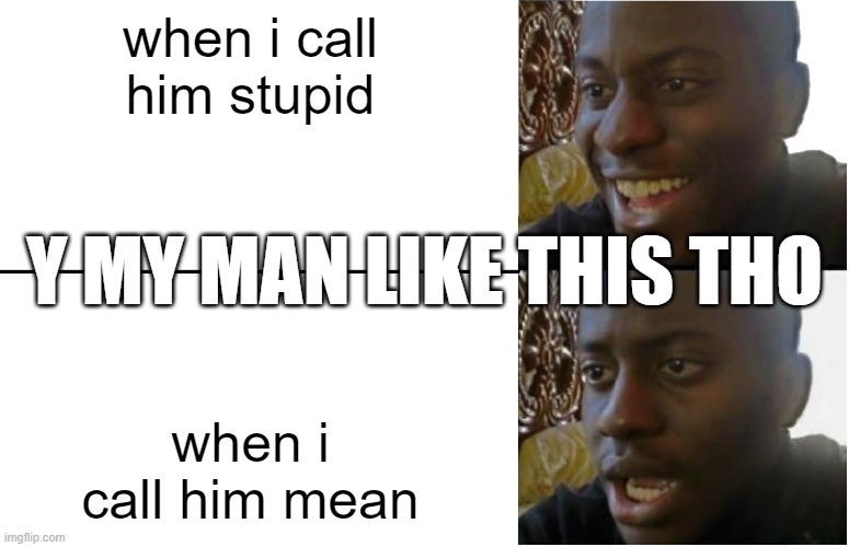 y tho | when i call him stupid; Y MY MAN LIKE THIS THO; when i call him mean | image tagged in disappointed black guy | made w/ Imgflip meme maker