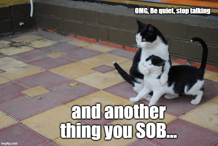 Work | OMG, Be quiet, stop talking; and another thing you SOB... | image tagged in staying out of trouble,funny memes | made w/ Imgflip meme maker