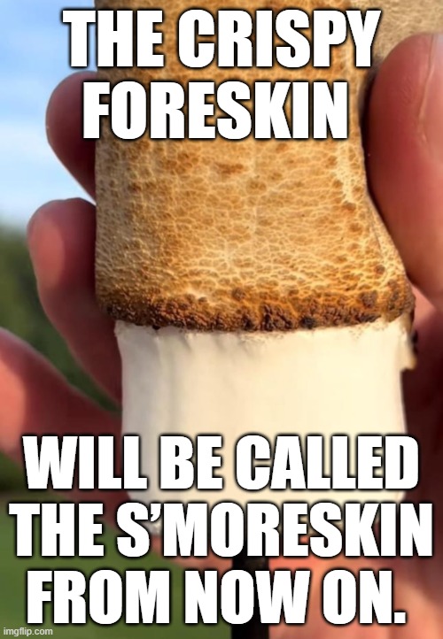 foreskin smoreskin | THE CRISPY FORESKIN; WILL BE CALLED THE S’MORESKIN FROM NOW ON. | image tagged in foreskin smoreskin | made w/ Imgflip meme maker