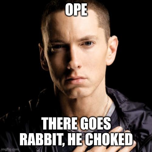 Eminem Meme | OPE THERE GOES RABBIT, HE CHOKED | image tagged in memes,eminem | made w/ Imgflip meme maker