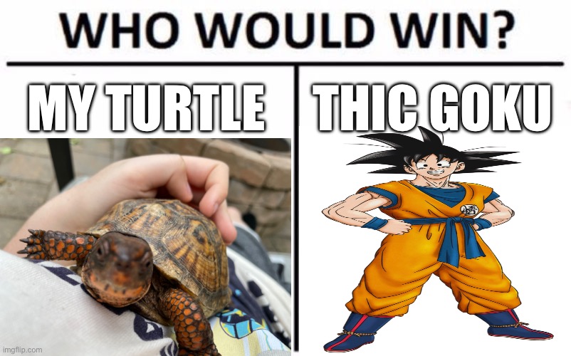 A worthy challenge | MY TURTLE; THIC GOKU | image tagged in memes,who would win,our battle will be legendary | made w/ Imgflip meme maker