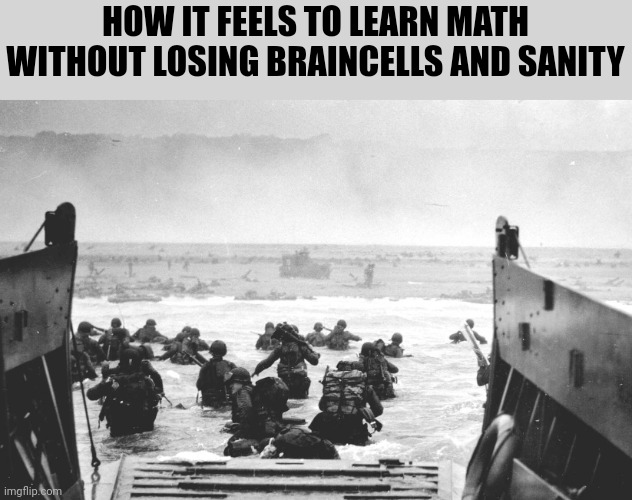 Help me | HOW IT FEELS TO LEARN MATH WITHOUT LOSING BRAINCELLS AND SANITY | image tagged in d-day landing,memes,funny,math,help me,a random meme | made w/ Imgflip meme maker