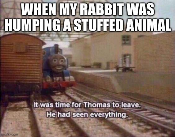 my rabbit has issues | WHEN MY RABBIT WAS HUMPING A STUFFED ANIMAL | image tagged in it was time for thomas to leave he had seen everything,rabbit | made w/ Imgflip meme maker