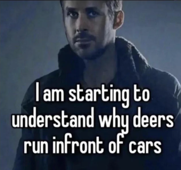 High Quality I am starting to understand why deers run in front of cars Blank Meme Template