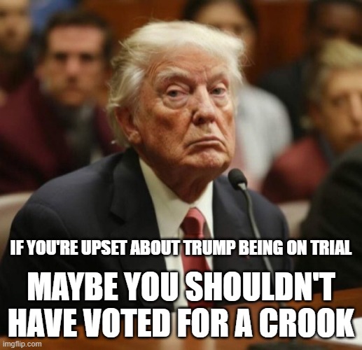 IF YOU'RE UPSET ABOUT TRUMP BEING ON TRIAL; MAYBE YOU SHOULDN'T HAVE VOTED FOR A CROOK | image tagged in trump,crook | made w/ Imgflip meme maker