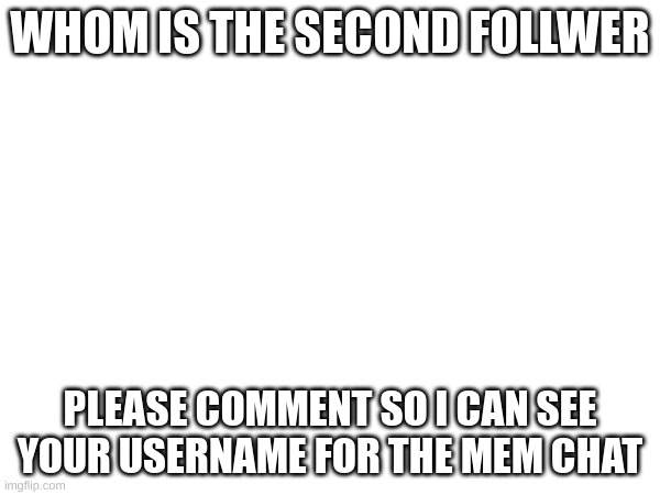 eeeeeee if it is not you don't comment or I find u and turn ur balls into 2D circles | WHOM IS THE SECOND FOLLWER; PLEASE COMMENT SO I CAN SEE YOUR USERNAME FOR THE MEM CHAT | image tagged in memes | made w/ Imgflip meme maker