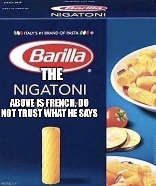 Nigatoni | THE ABOVE IS FRENCH, DO NOT TRUST WHAT HE SAYS | image tagged in nigatoni | made w/ Imgflip meme maker