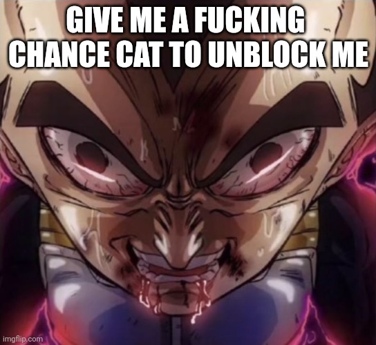 vegeta stare | GIVE ME A FUCKING  CHANCE CAT TO UNBLOCK ME | image tagged in vegeta stare | made w/ Imgflip meme maker