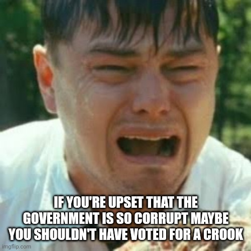 Crybaby Liberal Leonardo | IF YOU'RE UPSET THAT THE GOVERNMENT IS SO CORRUPT MAYBE YOU SHOULDN'T HAVE VOTED FOR A CROOK | image tagged in crybaby liberal leonardo | made w/ Imgflip meme maker