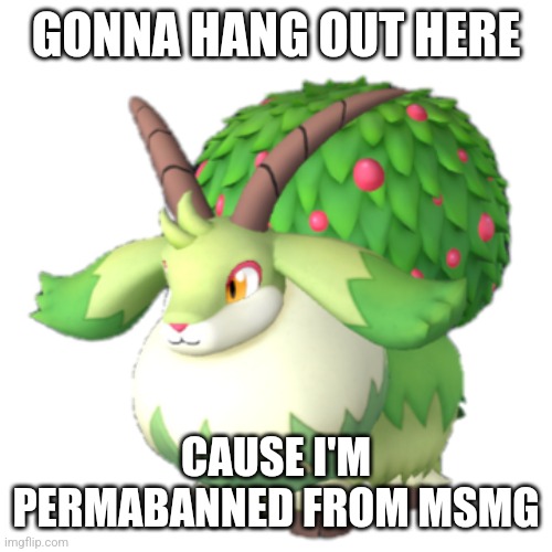Caprity | GONNA HANG OUT HERE; CAUSE I'M PERMABANNED FROM MSMG | image tagged in caprity | made w/ Imgflip meme maker