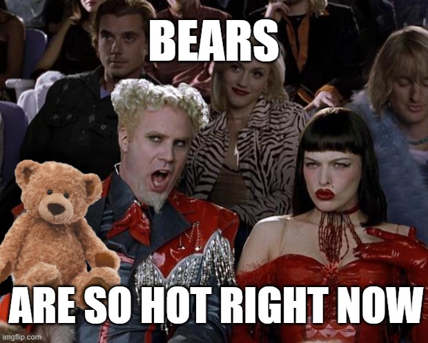 Bears are so hot | BEARS; ARE SO HOT RIGHT NOW | image tagged in memes,mugatu so hot right now,bears | made w/ Imgflip meme maker