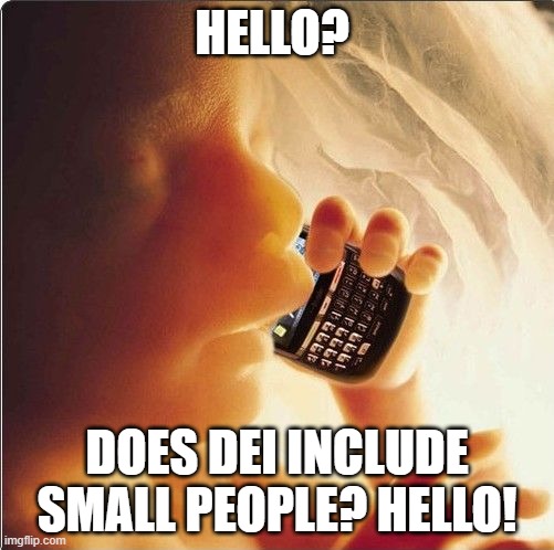 Baby in womb on cell phone - fetus blackberry | HELLO? DOES DEI INCLUDE SMALL PEOPLE? HELLO! | image tagged in baby in womb on cell phone - fetus blackberry | made w/ Imgflip meme maker