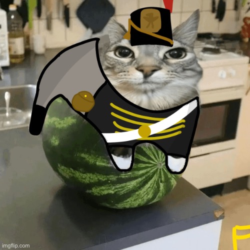 Day 2 of cats in guts and blackpowder uniforms | image tagged in united states,gutsandblackpowder,roblox,memes,cats | made w/ Imgflip meme maker