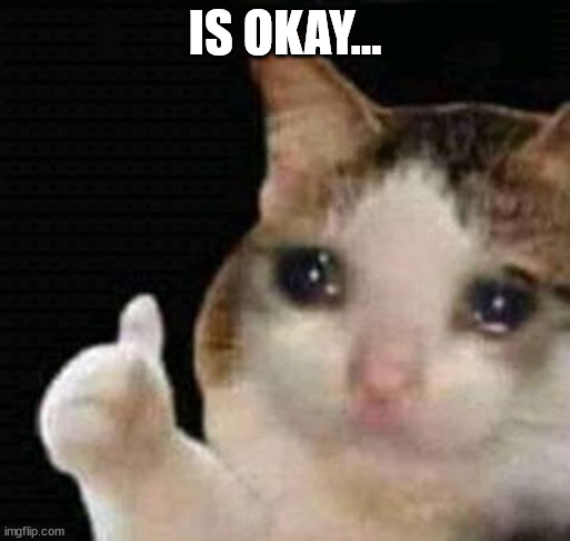 sad thumbs up cat | IS OKAY... | image tagged in sad thumbs up cat | made w/ Imgflip meme maker