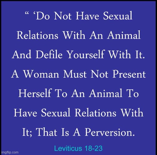 do not have sexual relations with an animal Blank Meme Template