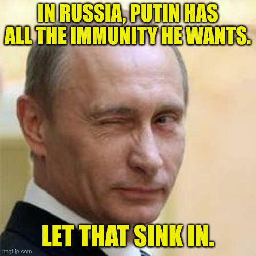 Does America need Trump taking us down that road? | IN RUSSIA, PUTIN HAS ALL THE IMMUNITY HE WANTS. LET THAT SINK IN. | image tagged in putin winking | made w/ Imgflip meme maker