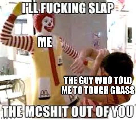 Ill f ing slap the mcsh** out of you | ME; THE GUY WHO TOLD ME TO TOUCH GRASS | image tagged in mcdonalds,food | made w/ Imgflip meme maker