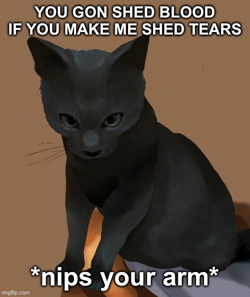 stupid cat really thinks hes 21 Savage | YOU GON SHED BLOOD IF YOU MAKE ME SHED TEARS; *nips your arm* | made w/ Imgflip meme maker