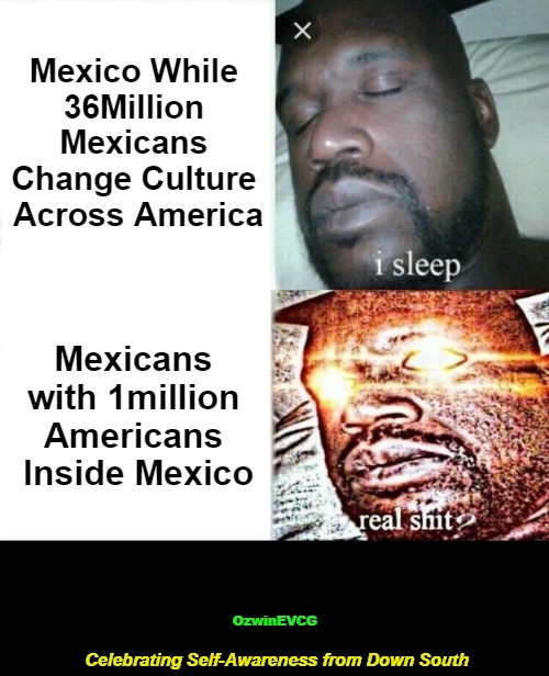 Celebrating Self-Awareness from Down South [NV] | Mexico While 

36Million 

Mexicans 

Change Culture 

Across America; Mexicans 

with 1million 

Americans 

Inside Mexico; OzwinEVCG; Celebrating Self-Awareness from Down South | image tagged in memes,sleeping shaq,americans,immigration,mexicans,double standard | made w/ Imgflip meme maker