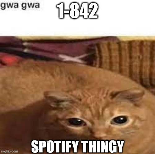 Gwa gwa | 1-842; SPOTIFY THINGY | image tagged in gwa gwa | made w/ Imgflip meme maker