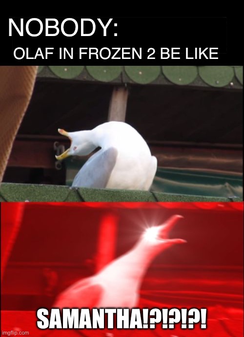 So true | NOBODY:; OLAF IN FROZEN 2 BE LIKE; SAMANTHA!?!?!?! | image tagged in black bar,screaming seagull | made w/ Imgflip meme maker