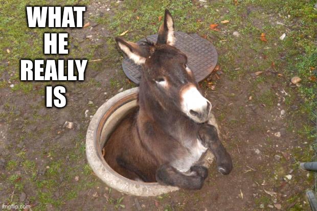 Asshole | WHAT
HE
REALLY 
IS | image tagged in asshole | made w/ Imgflip meme maker