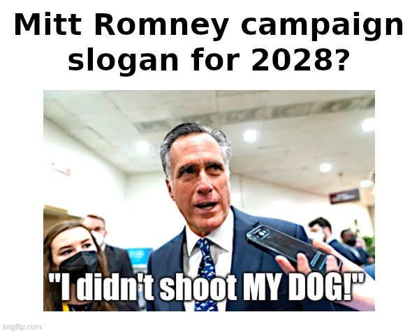 Mitt Romney: I Didn't Shoot MY DOG! | image tagged in mitt romney,hands up,dont shoot,dog,up on the roof,kennel | made w/ Imgflip meme maker