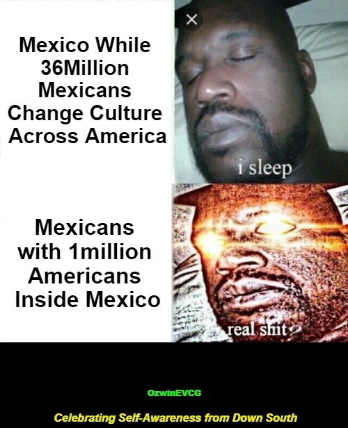 Celebrating Self-Awareness from Down South [NV] | image tagged in memes,sleeping shaq,americans,immigration,mexicans,double standard | made w/ Imgflip meme maker