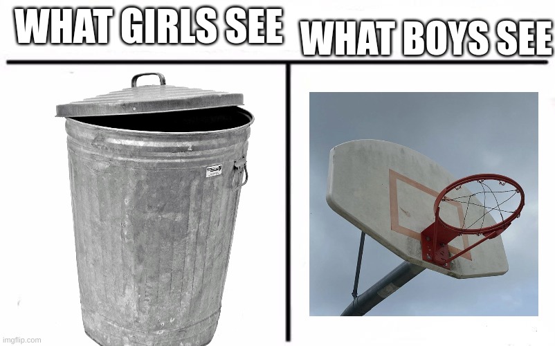 hehe | WHAT BOYS SEE; WHAT GIRLS SEE | image tagged in who would win blank | made w/ Imgflip meme maker