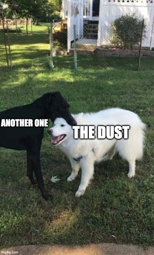 Another one bites the dust | THE DUST; ANOTHER ONE | image tagged in dog bite | made w/ Imgflip meme maker